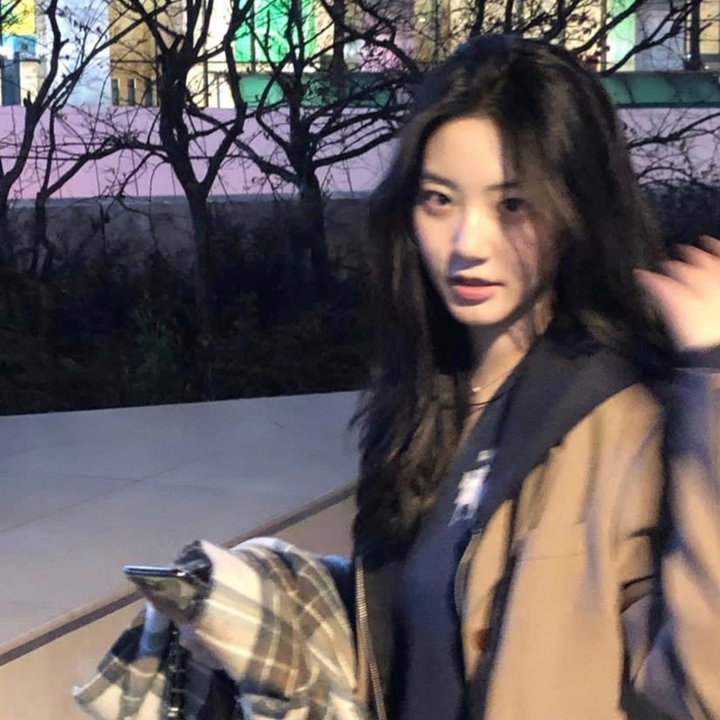 青春不狗活